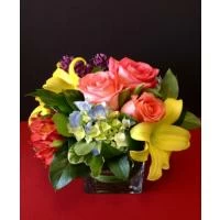 Flowers for Cheap Flower Delivery