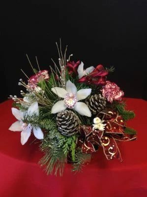 Orchids for Christmas