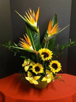 Tropical Flowers of Sunflowers and Orchids