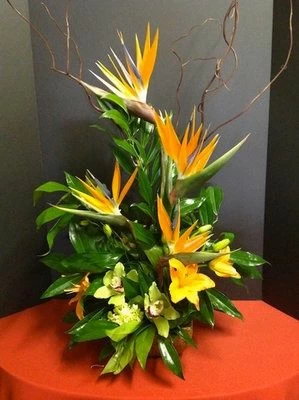 Tropical Flowers in Paradise