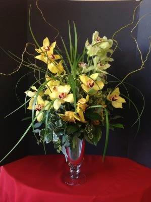 Sensation of Orchids
