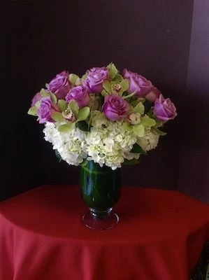 Garden Sensation of Roses