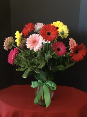1 Dozen of Gerbera Daisys