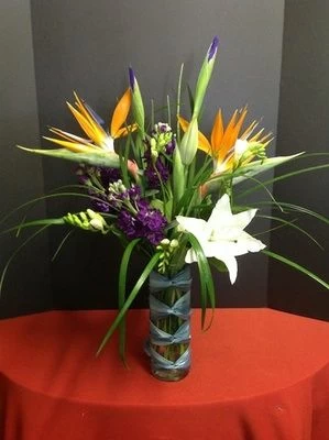 Dreamer Tropical Flowers