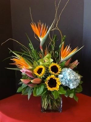 Irresistible Exotic Flowers