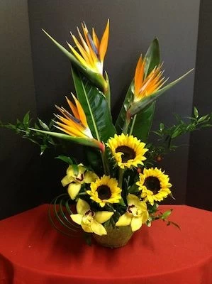 Just Because Tropical Flowers