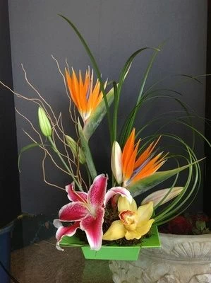 Small Paradise of Tropical Flowers