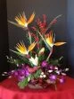 Tropical Christmas