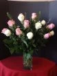 2 dozen pink and white roses, two dozeng long stems roses pink and white