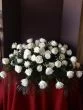 Tender Sentiments Casket Spray