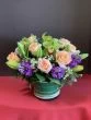 Darling Love of Roses