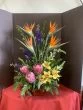 Hawaiian Flowers Dream
