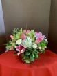 Flowers of Pink Splendor