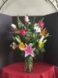 Spring Sensation