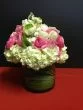 Hydrangea Lover