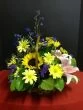 Sunflowers and daisies of Bella Donna