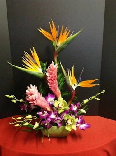 Tropical Flowers of Ginger
