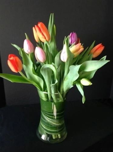 Simply Tulips