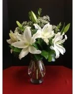 White lilies in a vase