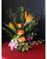 Tropical Flowers Of Flame