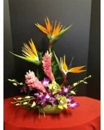 Tropical Flowers of Ginger