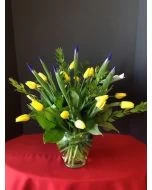 Tulips and More Tulips