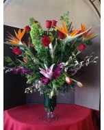 Tropical Delight of Flowers