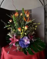 Colorful Jungle of Tropical Flowers