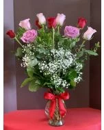 Just Lovely Roses