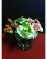 Delightful Bliss of Flowers