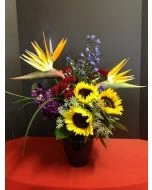 Sunflowers and Bird of Paradise Evening Star