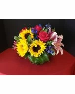 Garden of Sunshine Flowers