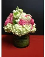 Hydrangea Lover