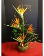 Amazing Grace Hawaiian Flowers
