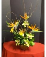 Maestro-Hawaiian Flowers
