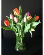 Simply Tulips