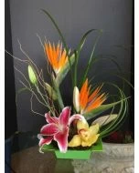 Small Paradise of Tropical Flowers