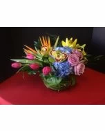 Spring Magic of Flowers