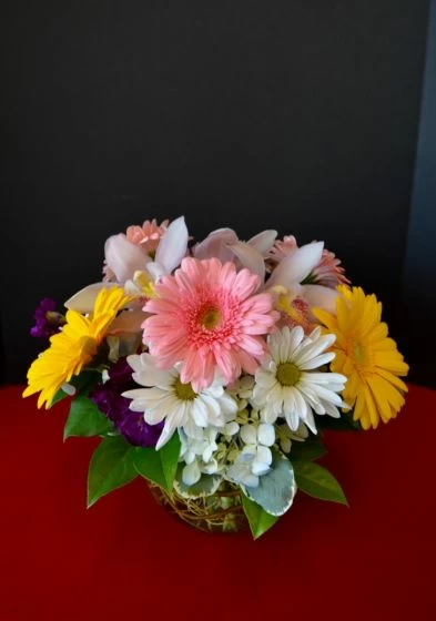 Cute Sunshine of flowers