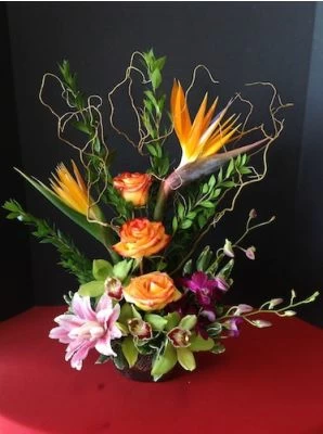 Tropical Flowers Of Flame