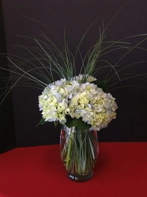 Hydrangea Special