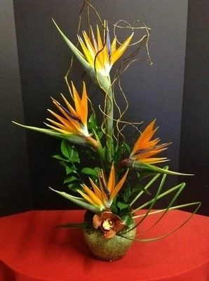 Amazing Grace Hawaiian Flowers