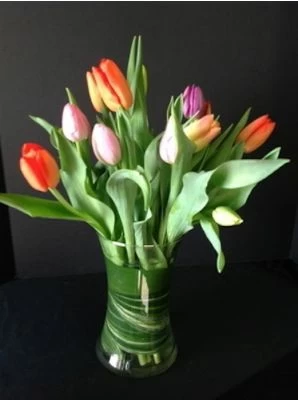 Simply Tulips