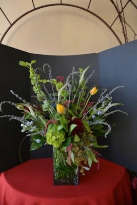 Wildflowers of Plenty