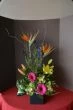 Tropical Art of Flowers