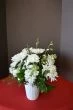 Special Thoughts of All White Flowers