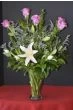 Flowers of Hope