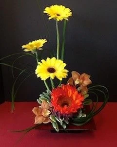 Contemporary fall