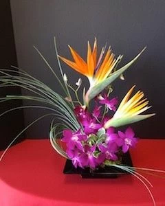 Orchids and Birds