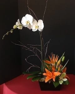 Plants with flowers and lilies